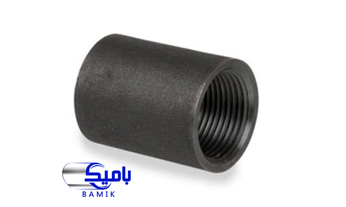 بوشن مانیسمان